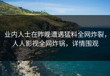 业内人士在昨晚遭遇猛料全网炸裂，人人影视全网炸锅，详情围观