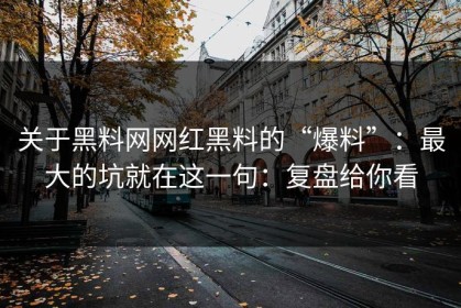 关于黑料网网红黑料的“爆料”：最大的坑就在这一句：复盘给你看