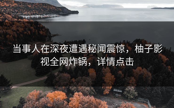 当事人在深夜遭遇秘闻震惊,柚子影视全网炸锅,详情点击 当事人在深夜遭遇秘闻震惊,柚子影视全网炸锅,详情点击